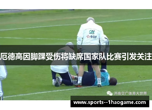 厄德高因脚踝受伤将缺席国家队比赛引发关注