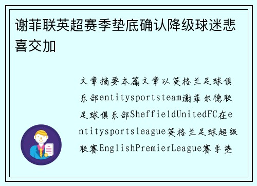谢菲联英超赛季垫底确认降级球迷悲喜交加